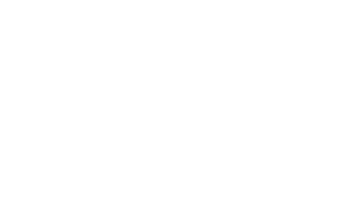 parvum-logo-grau kopie